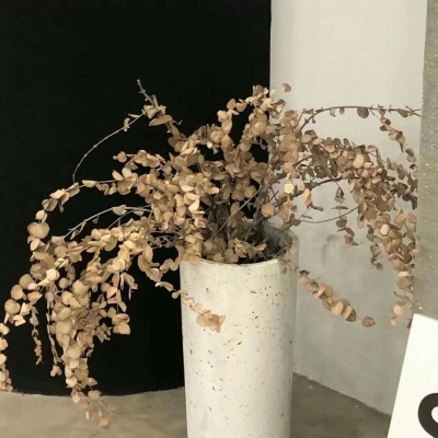 朗县FurryQQ群介绍